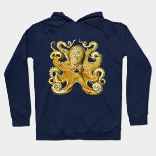 Giant Octopus by Ernst Haeckel Hoodie